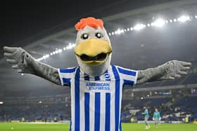 Gully, the Brighton mascot poses ahead of the English Premier League football match between Brighton and Hove Albion and Wolverhampton Wanderers