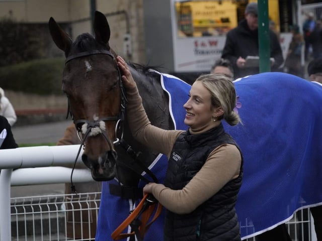 November jump racing at Fontwell Park