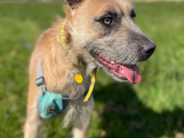 Tula