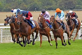 They race at Goodwood on Tuesday afternoon | Picture: Malcolm Wells