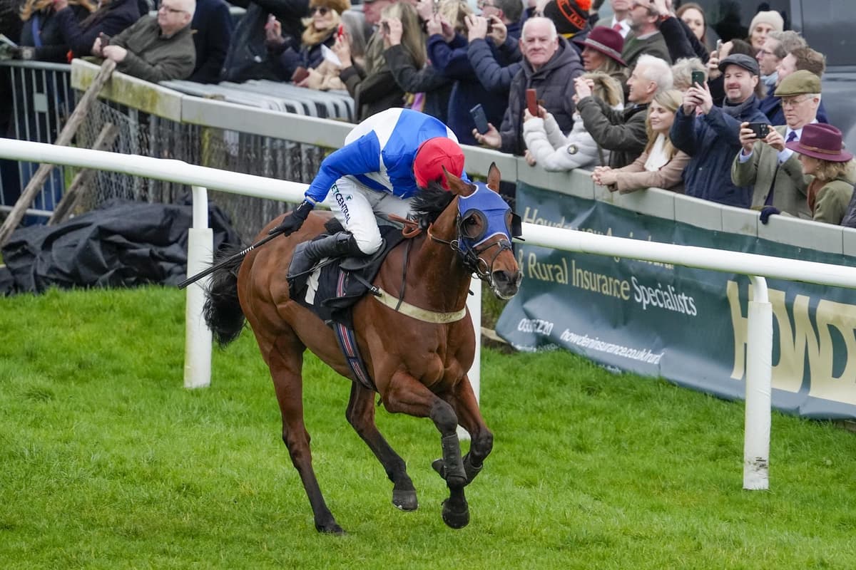 Sussex Races Plumpton races: Sussex trainers celebrate double