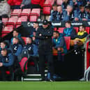 Southampton  manager Ralph Hasenhuttl during the Premier League match between Southampton FC and Newcastle United