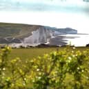 The Seven Sisters National Park, which forms part of the South Downs, has been crowned as the best picnic spot in the UK as revealed by new data.