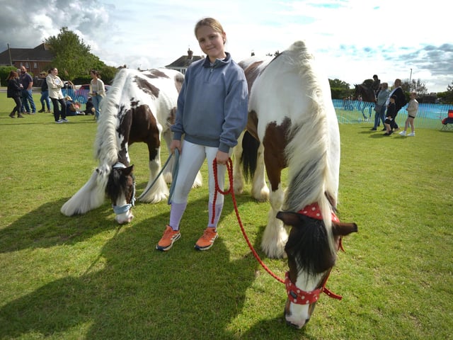 Bexhill Horse & Dog Show 2024.