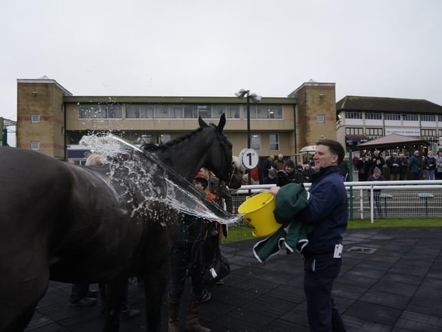 Christmas Jumpers Raceday at Fontwell Park 2025