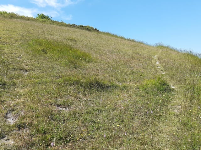 It is very steep and it takes you to a narrow footpath, which you need to join and follow to the left.