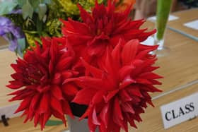 The best dahlia grown by an East Preston or Kingston resident, won by Colin Crane
