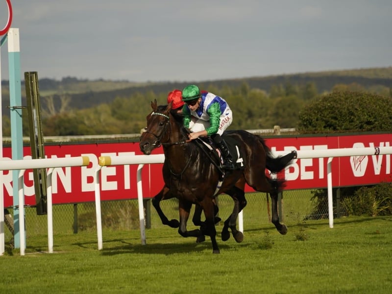 Goodwood Racecourse 2026 season finale