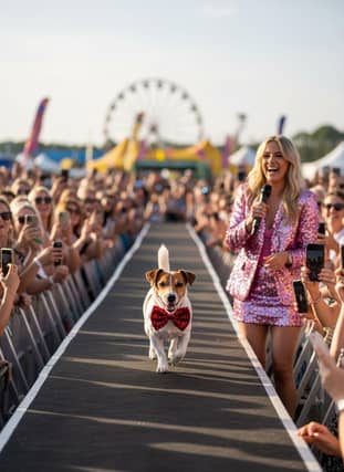 Wag & Werk Stage DF on the Beach