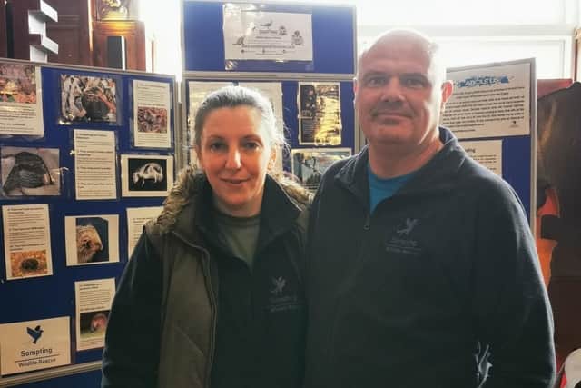 Pete and Gayle Foggon run Sompting Wildlife Rescue & Rehab as a small charity with an ethos of rescue and rehabilitation of sick, injured or orphaned wildlife