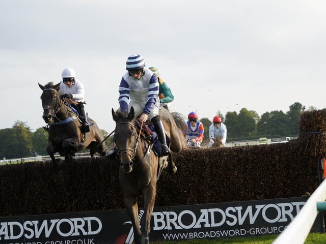 Race 5 The Rapunzel Me Hair Flips And Sips Handicap Steeple Chase at Fontwell on Friday 30 August 2024. www.polopictures.co.uk  Fontwell Arundel Clive Bennett 20240830 ©2024 Clive Bennett Photography 30/08/2024 _CAB6625.JPG : Fontwell Park Ladies' Evening 2024