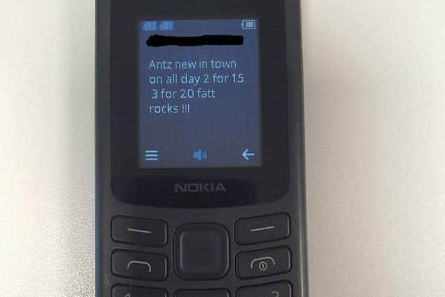 An example of a text sent from the 'Antz' line to drug users. Photo: Sussex Police