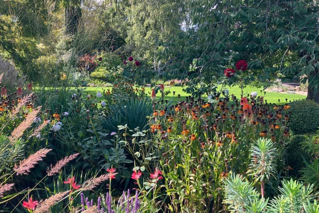 The stunning Denmans Garden near Chichester, West Sussex - the inspiration for a new exhibition by artist in residence Sue England. Free admission until October 20, 2022.