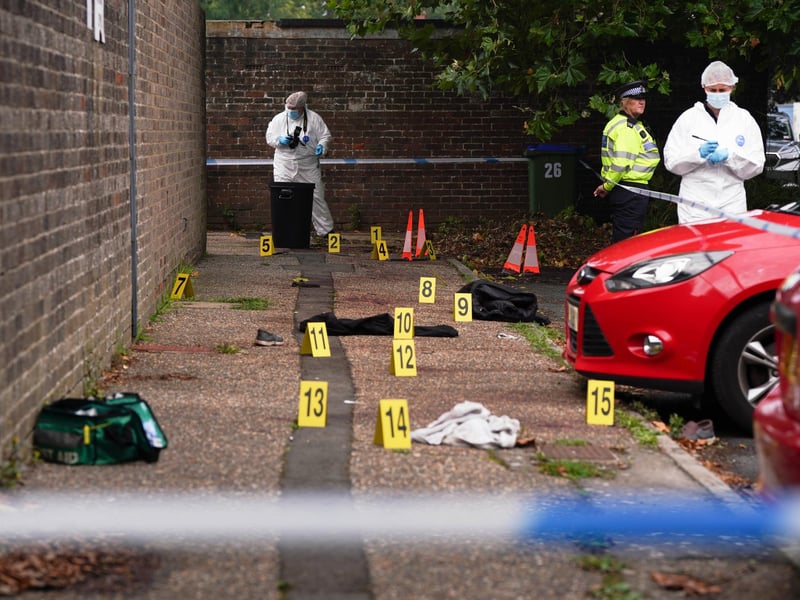 SUSSEX NEWS AND PICTURES - news@sussexnewsandpictures.uk - 012 73 93 02 02
Police have shot and killed two dogs after an elderly man was attacked in the street.