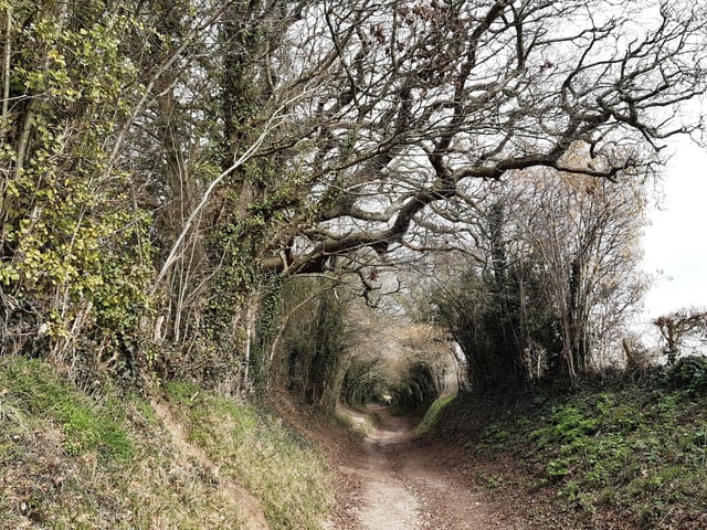 This magical holloway and incredible views over Chichester Harbour feature on my walk up to Halnaker Windmill. Search for The Windmill Trail: Circular walk to Halnaker Windmill and Boxgrove Priory via holloway with magical tunnel