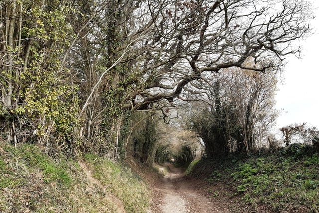 This magical holloway and incredible views over Chichester Harbour feature on my walk up to Halnaker Windmill. Search for The Windmill Trail: Circular walk to Halnaker Windmill and Boxgrove Priory via holloway with magical tunnel