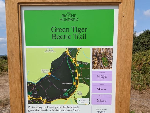 Six new walks created at Ashdown Forest