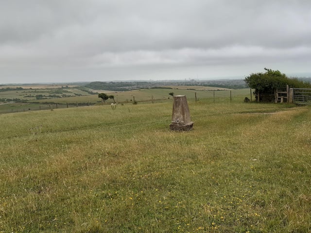 You will pass a trig point and then see Foredown Tower ahead. That is going to be our end point for this section.