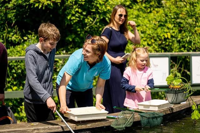 Elizabeth Pearce, Learning Manager at WWT Arundel Wetland Centre helps visitor at pond dipping