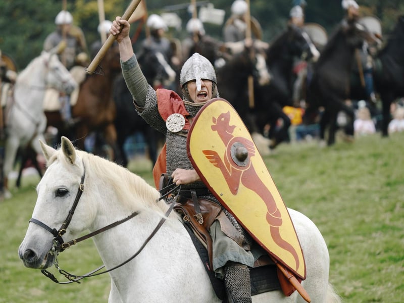 Battle of Hastings reenactment at Battle Abbey 2025. Pic supplied by Tom Arber/English Heritage.
