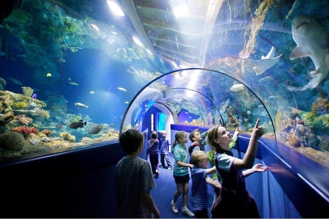Hastings Aquarium