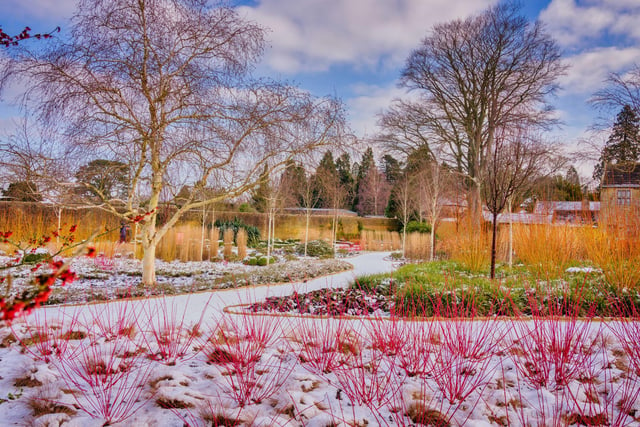 Snow at Wakehurst in February 2021