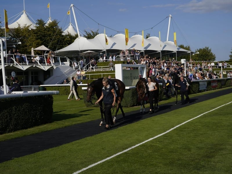 Friday evening racing kicks off bank holiday weekend at Goodwood