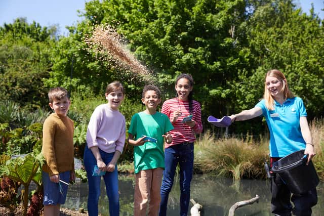 Find out how WWT keeps its birds safe and healthy, and have a go at things like how to weigh a goose and measure a swan