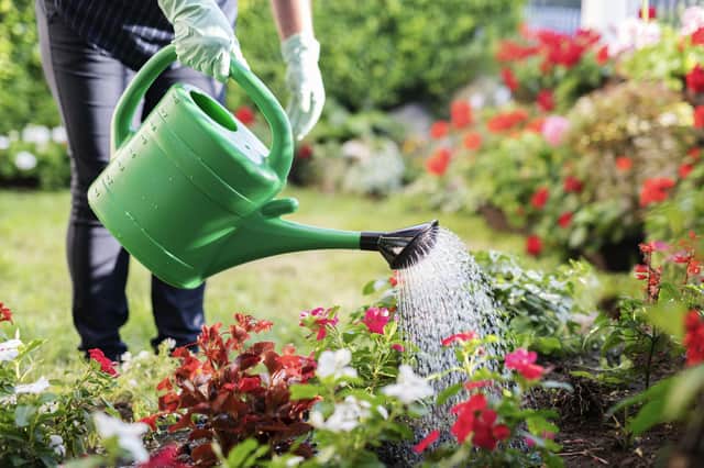 Hosepipe ban: The simple changes you can make to keep your gardens glowing and the fun going - submitted picture
