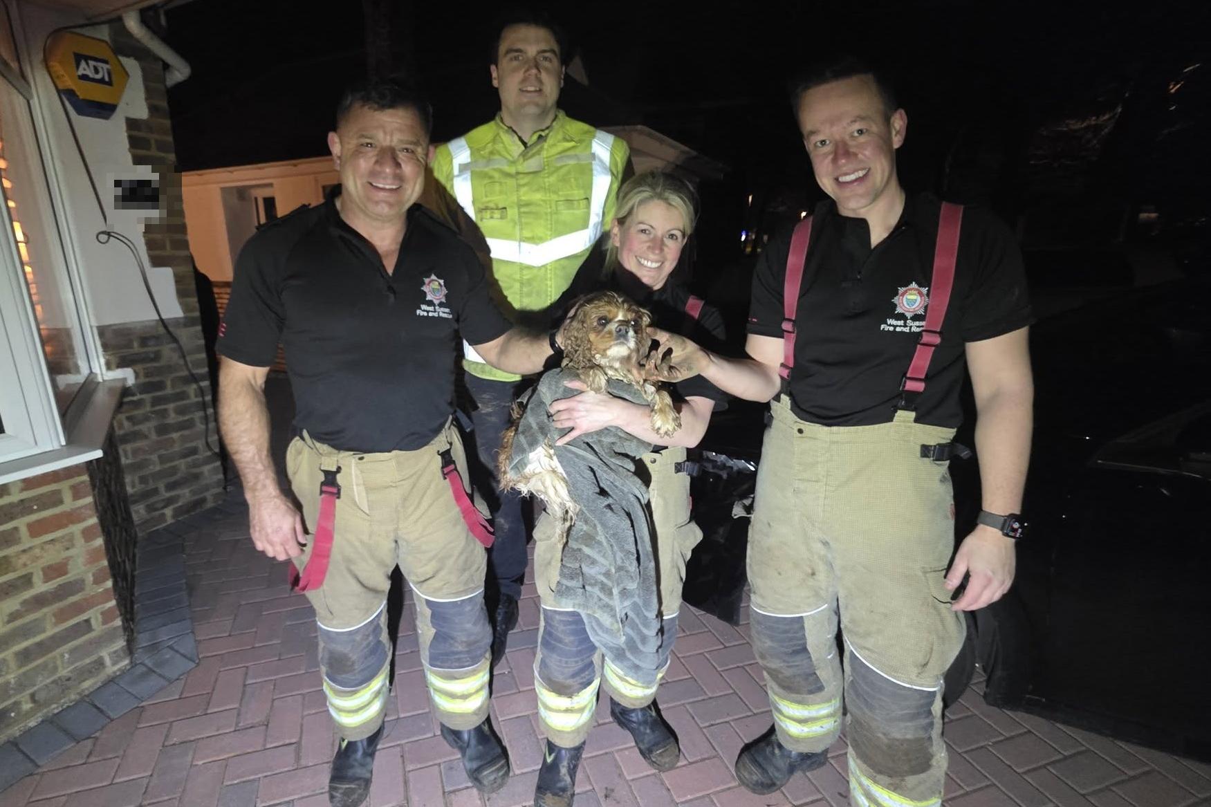 Fire service rescues pet dog from fox hole in West Sussex village