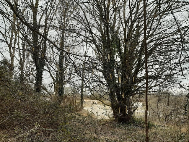 You pass through a second metal gate and on the right is Eartham Pit, a quarry where archaeologists found the remains of Boxgrove Man