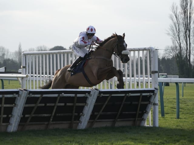 Boxing Day racing at Fontwell Park, 2025