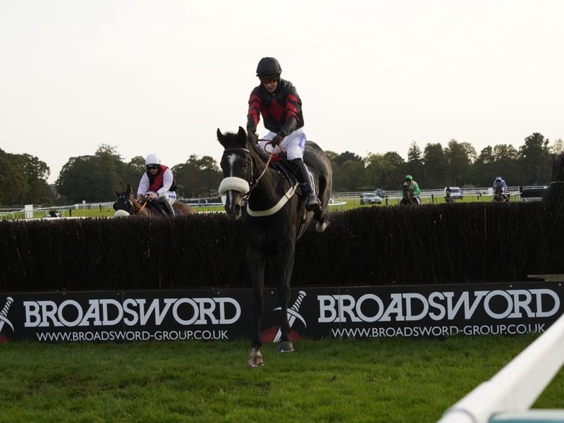 Action and other images from Fontwell Park's Beer and Cider Festival racedays, staged in the sunshine on Friday and Saturday