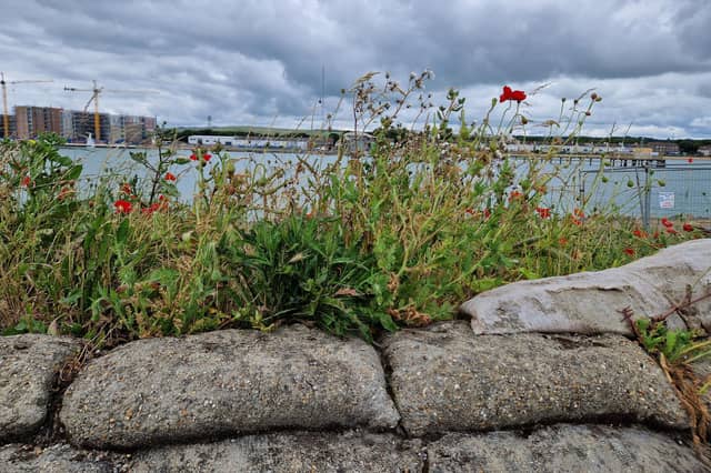 Giving History a Future by Bringing History to Life. Visit Shoreham Fort on Saturday, September 14, and watch the Scheduled Monument come to life. Pre-booking not required.