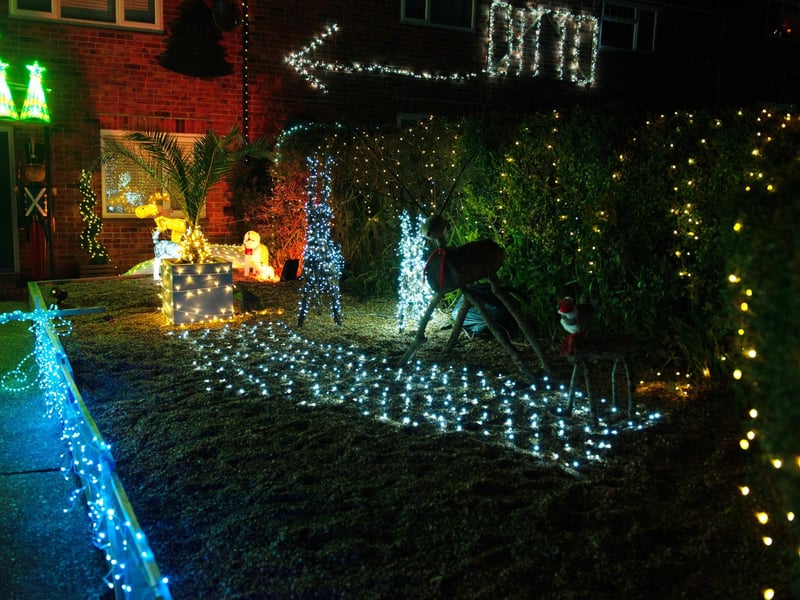 Westfield Christmas Lights 2023. Photo by Frank Copper.