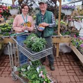 Pictured: Laura Litchfield from Brighton Refuge collecting the donation of plants from Clive Gravett, founder of the Budding Foundation. 