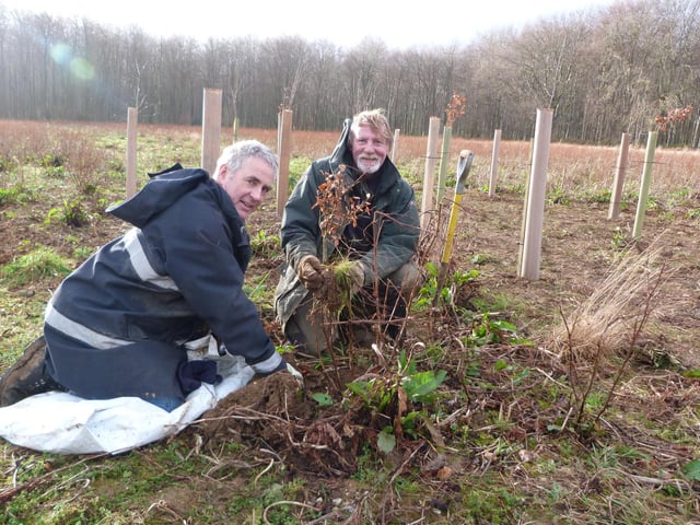Ranger Gavin McCollom and volunteer Ian Barnett planting the first trees