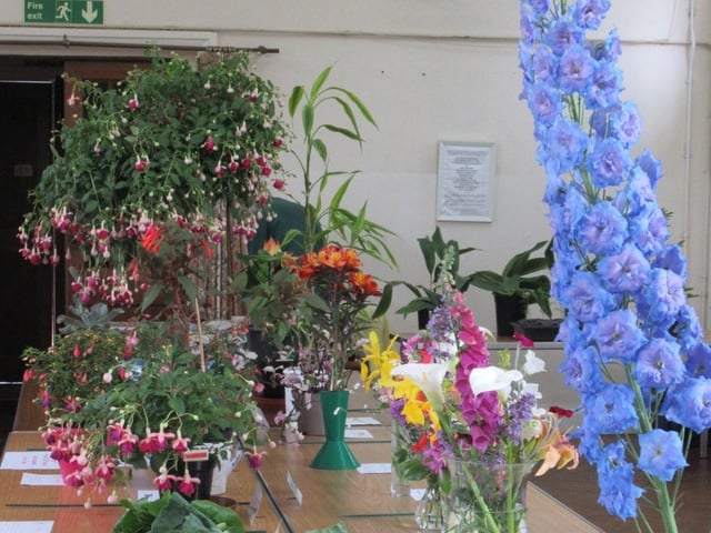 Beautiful roses were displayed alongside sweet peas, delphiniums, vases of mixed flowers, pot grown fuchsias, orchids, cacti and succulents