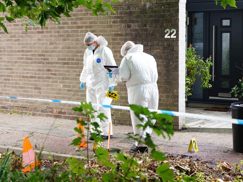SUSSEX NEWS AND PICTURES - news@sussexnewsandpictures.uk - 012 73 93 02 02
Police have shot and killed two dogs after an elderly man was attacked in the street.