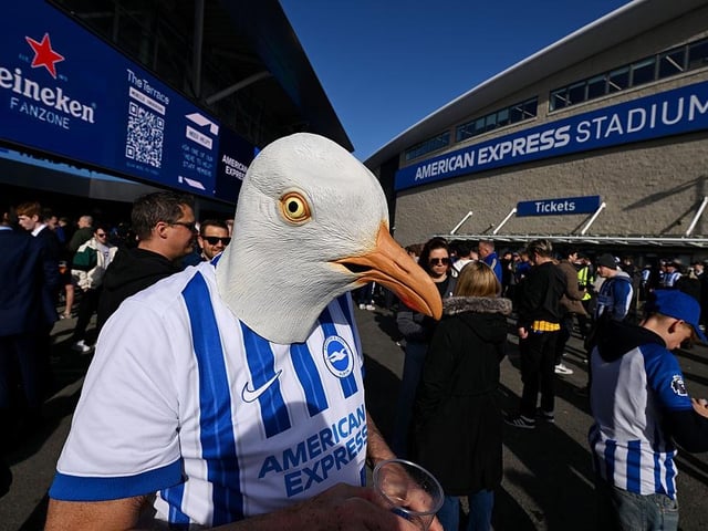 Brighton & Hove Albion fan wears a seagull head outside the stadium