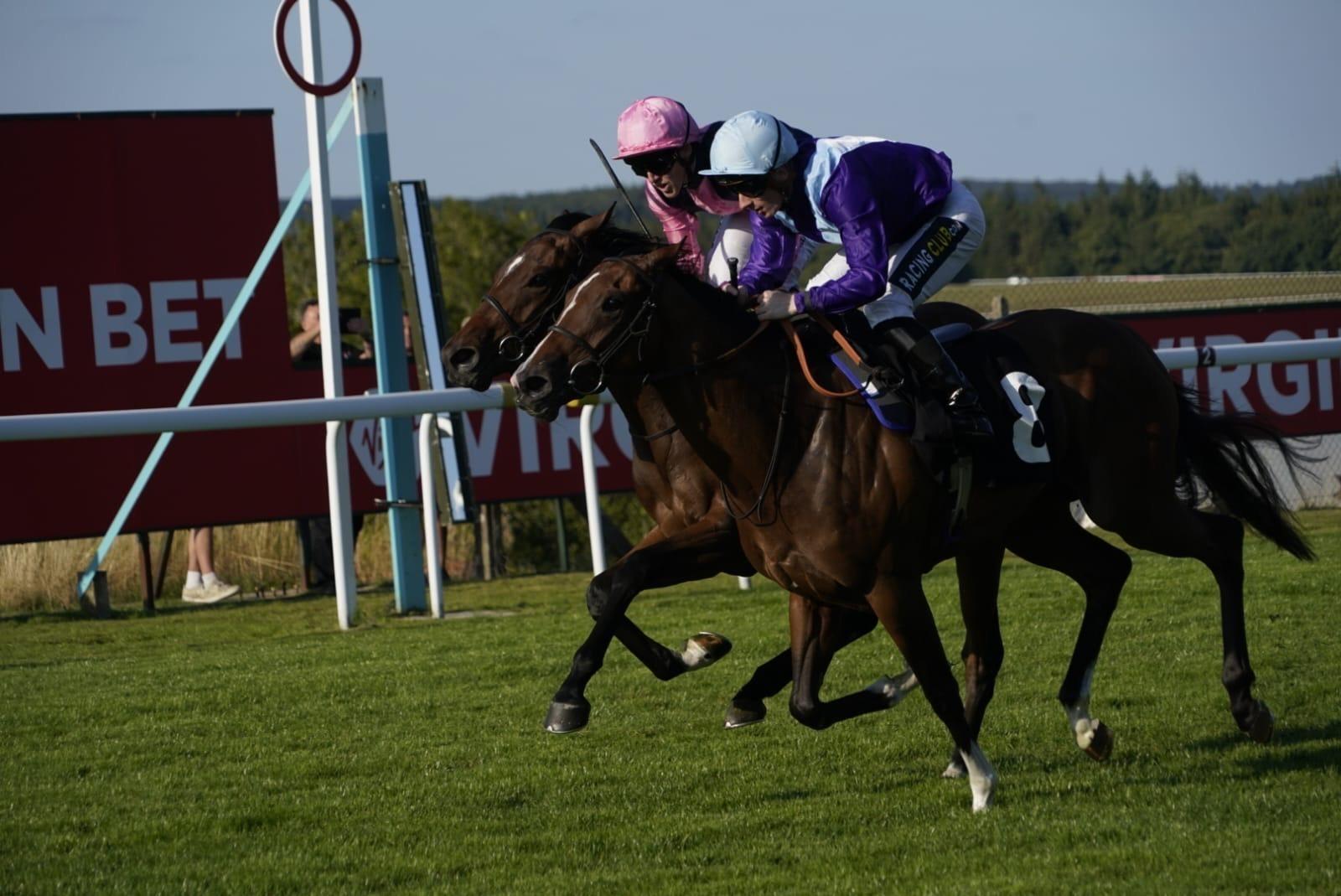 Friday evening racing kicks off bank holiday weekend at Goodwood