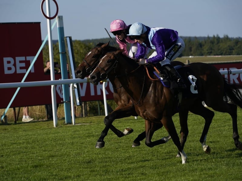 Friday evening racing kicks off bank holiday weekend at Goodwood