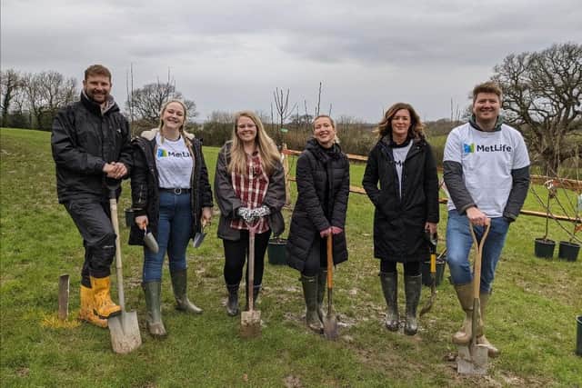 Tuesday, March 28, saw Burgess Hill Town Council’s maintenance team and volunteers plant a new community orchard in Batchelors Farm.