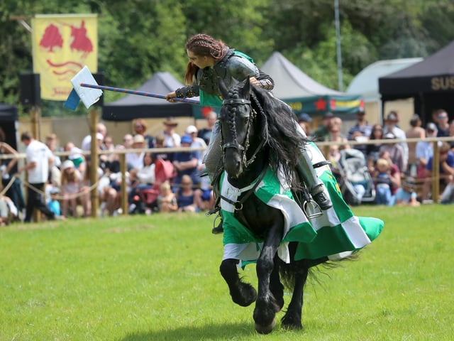 Loxwood Joust 2024 (Photo: John Lines)