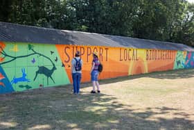 The mural, painted by pupils in Years 8 to 10, is the centrepiece of a wider initiative designed by students to tackle littering and encourage the community to take greater pride in its surroundings. Photo: Georgina Smith.
