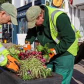 Flowerbeds in Worthing are set to receive colourful, environmentally-friendly displays all year round thanks to a new sustainable planting scheme. Photo: Worthing Borough Council