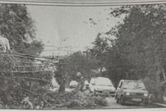 Clearing the damage at Upper Maze Hill, St Leonards