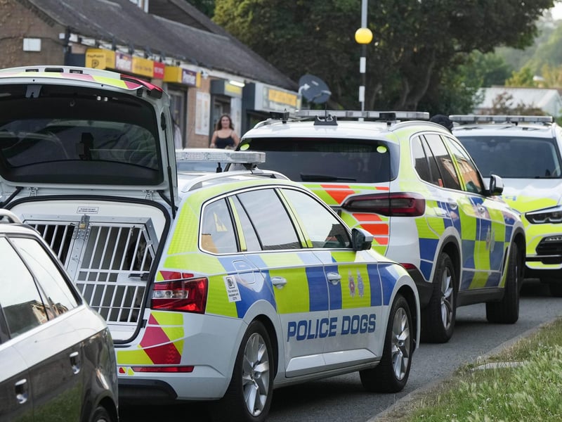 East Sussex car fire and fight sparks armed police search