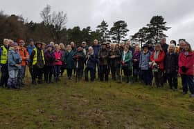 The Ashdown Forest Health Walk recently celebrated its 10th anniversary. Photo courtesy of Peter Lindsey