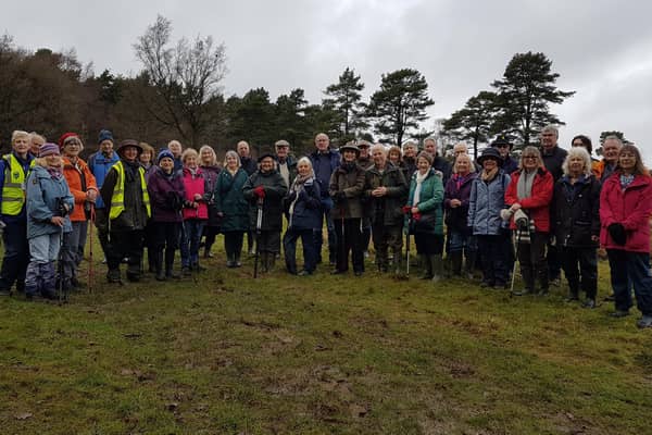 The Ashdown Forest Health Walk recently celebrated its 10th anniversary. Photo courtesy of Peter Lindsey